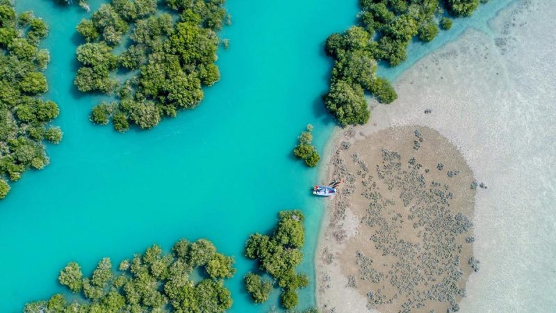 Avicenna’s Living Legacy in the Persian Gulf: The Wonders of Qeshm’s Mangrove Forests 