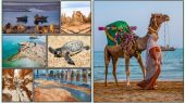 One Day in Qeshm: Travel Guide 