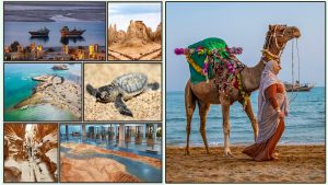 ژئوپارک قشم؛ گنجینه‌ای زمین‌شناختی در قلب خاورمیانه