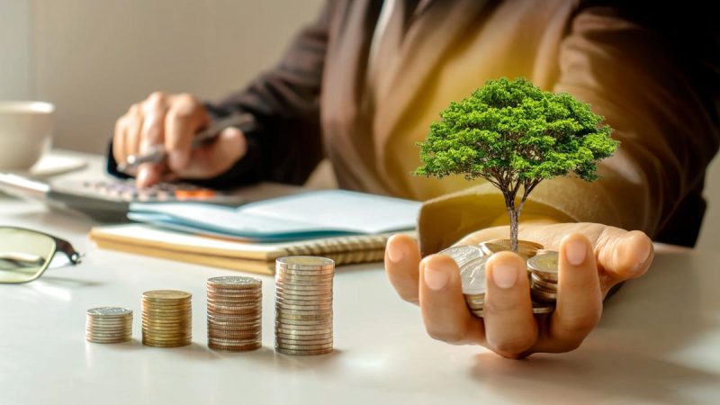 پروانه بهره برداری داخلی 