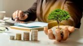 Why Invest in Qeshm Island? A Strategic Guide for Investors 