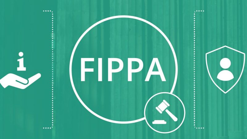 FOREIGN INVESTMENT PROMOTION AND PROTECTION ACT IN IRAN (FIPPA)