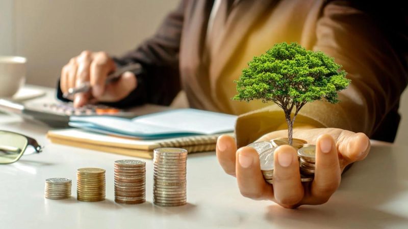 آیا قشم برای سرمایه‌گذاری امن است؟ بررسی جامع فرصت‌ها، ریسک‌ها و واقعیت‌ها