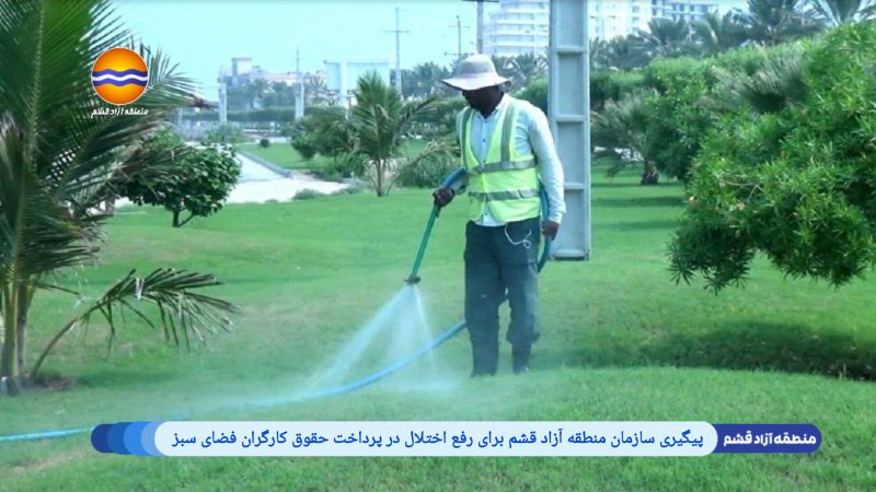 پیگیری سازمان منطقه آزاد قشم برای رفع اختلال در پرداخت حقوق کارگران فضای سبز 