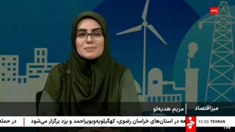 حضور مدیر شیلات سازمان منطقه آزاد قشم دربرنامه «میز اقتصاد» شبکه خبر 