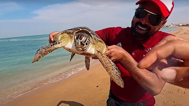 Is This the Most UNDERRATED Island in the World? (Qeshm, Iran) 