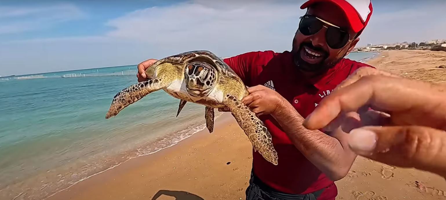 Is This the Most UNDERRATED Island in the World? (Qeshm, Iran)