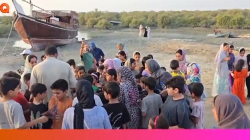 کودکان قشمی بذرهای امید را در جنگل‌های حرا می‌کارند