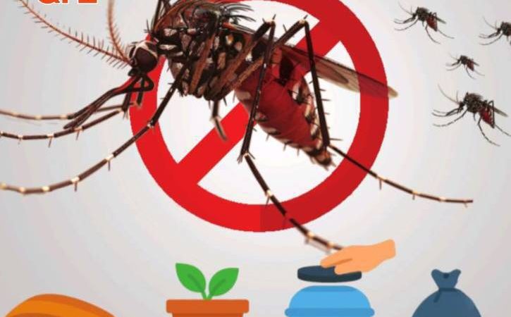 با کنترل پشه آئدس، از تب دِنگی پیشگیری کنیم!