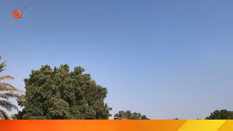 گام نخست تلاشگران خدمات شهری منطقه آزاد قشم در هفته پدافند غیرعامل