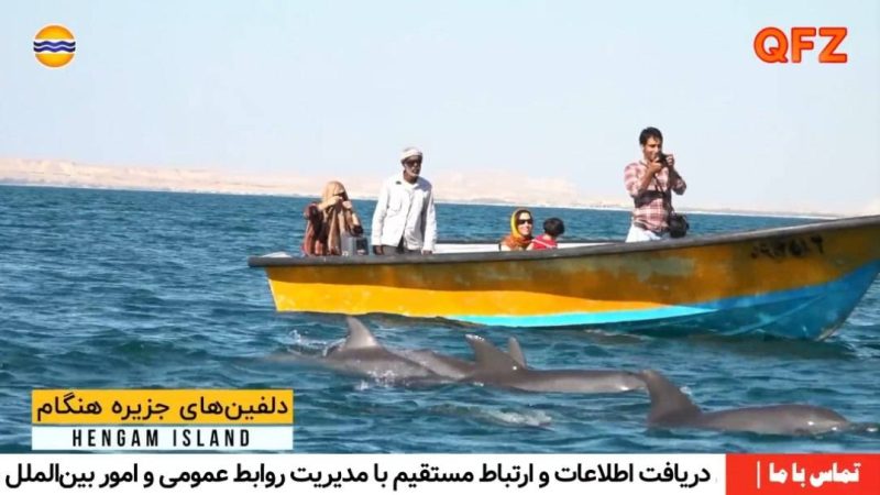 احداث ۲۰ بوم‌گردی جدید در جزیره هنگام در قلب خلیج فارس