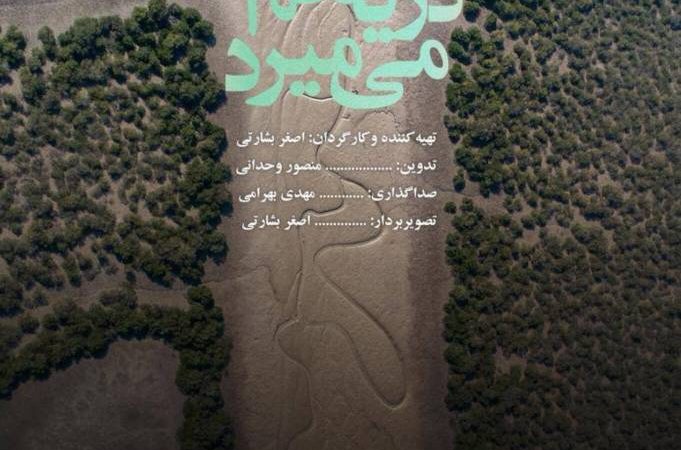 دریا هم می‌میرد روایت سینمایی از جزر و مد در میراث طبیعی قشم