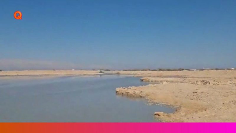 گزارش فعالیت های تولیدی شیلات در جزیره قشم  