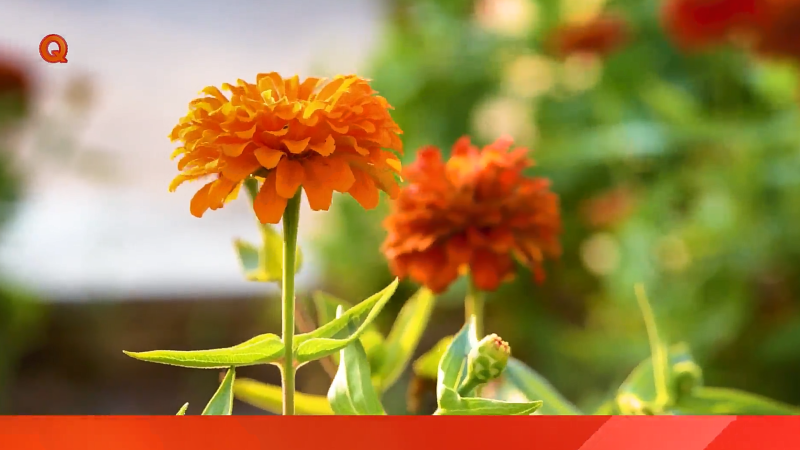 اینجا جمعه ها تعطیل نیست؛ تلاش برای پاکیزگی و ایمنی جزیره دائمی است 