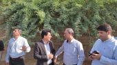 آغاز عملیات اصلاح معابر روستای طولای قشم 