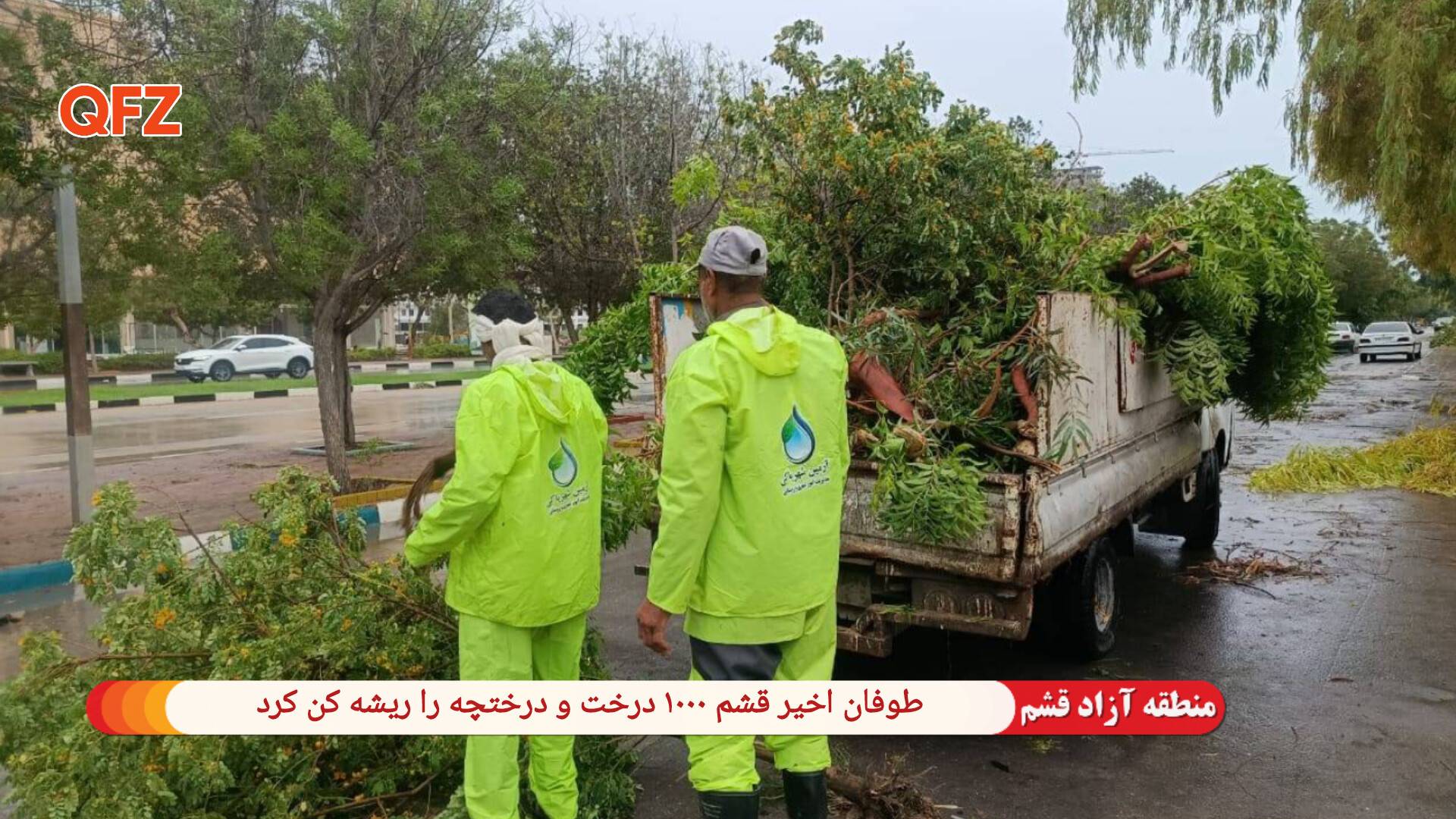 طوفان اخیر قشم ۱۰۰۰ درخت و درختچه را ریشه کن کرد