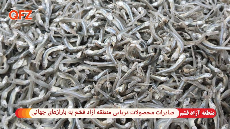 صادرات محصولات دریایی منطقه آزاد قشم به بازارهای جهانی