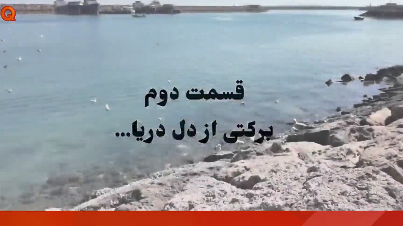 گشت و گذار دوربین مرکز رسانه منطقه آزاد قشم از بازار ماهی و میگوی جزیره قشم تا دل دریا