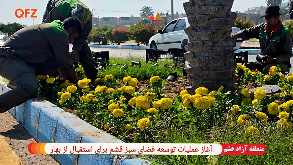 آغاز عملیات توسعه فضای سبز قشم برای  استقبال از بهار