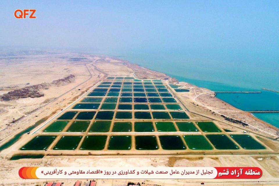 تجلیل از مدیران عامل صنعت شیلات و کشاورزی در روز «اقتصاد مقاومتی و کارآفرینی»