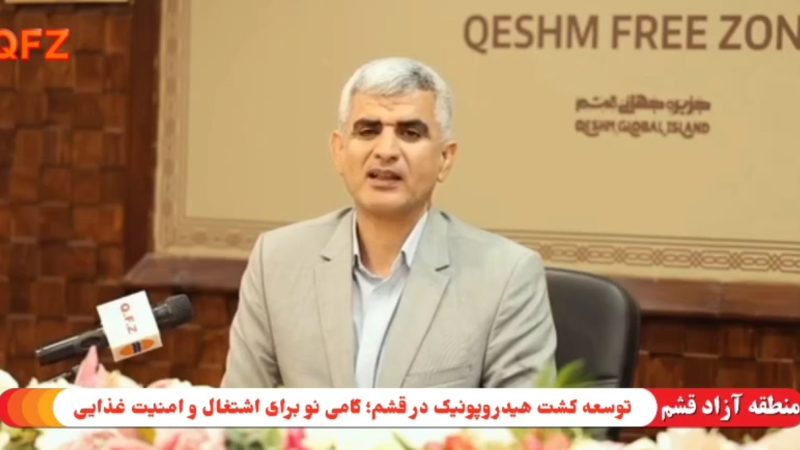 توسعه کشت هیدروپونیک در قشم؛ گامی نو برای اشتغال و امنیت غذایی 